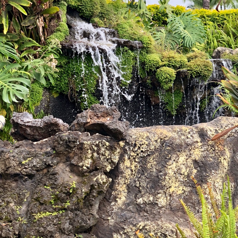 Meet your Posher, Jeff